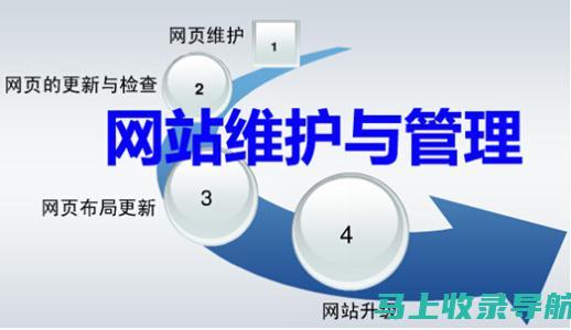 网站维护与优化：借助站长之家权重查询的实用指南